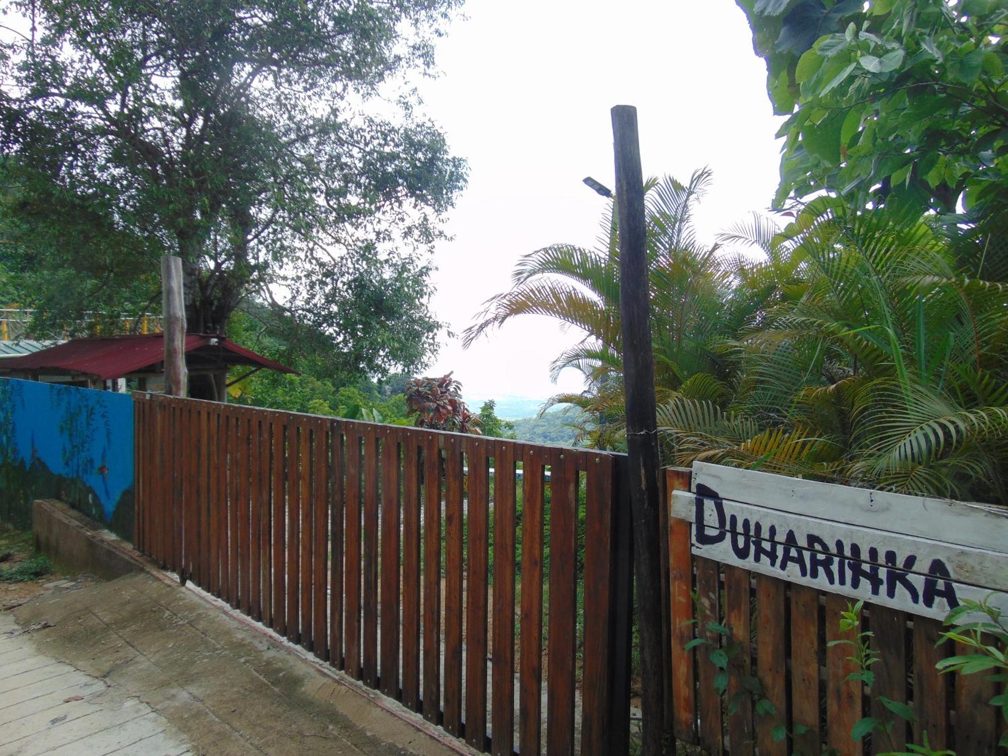 Dunarinka Minca Esterno foto